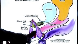 How to make a woman squirt - the ultimate pussy-licking tutorial!