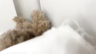 Guy sniffed panties and fucked curva in a wet pussy, delivering a real orgasm