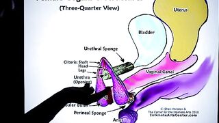 How to squirt? The ultimate guide by Mr. PussyLicking, featuring intense, wet orgasms and messy, explosive finishes