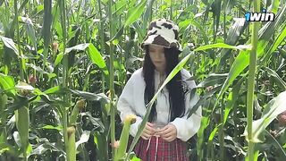 Security guard caught thief in cornfield, gave a ticket