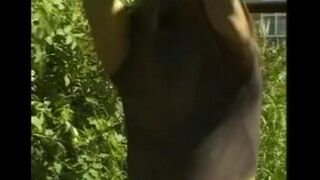 Fingered cock of a man in the hayloft