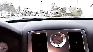 The beautiful girl is sucking a cock of her friend in the car
