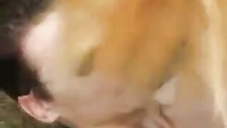 Skinny teen makes a blowjob in the park to earn money