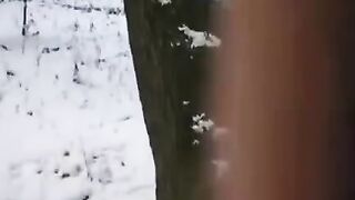 The guy made the girl cum by freezing time with his dick