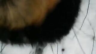 Winter street blowjob with a nice girl in stockings