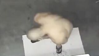 A man took a shower and was filmed by a hidden camera
