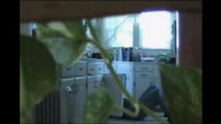 Naked married couple have sex in their apartment