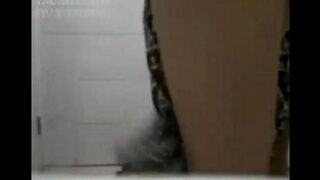 Asian beauties have fun on the porn rollers