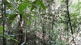Fresh air and her warm lips on my cock - a thrilling outdoor encounter