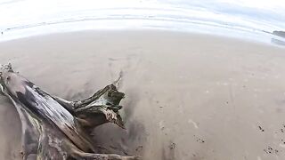 The beach is always wet – from the sea and because of the climate